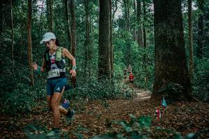 BIB: 
                            <button type="button" onclick="openModal(26132355)" class="btn btn-primary btn-sm float-right btn-popup" data-toggle="modal" data-target=".modal-high-quality">
                        <i class="fas fa-shopping-cart"></i> Add to Cart
                    </button>
                                            <button type="button" onclick="isThisMe(26132355, true)" class="btn btn-success btn-sm float-right btn-popup btn-isme hidden" data-toggle="tooltip" data-placement="bottom" title="นี่คือรูปของคุณใช่ไหม คลิกที่นี่เพื่อเอาเข้าอัลบั้ม">
                        <i class="fas fa-plus"></i> Add to album
                    </button>
                    <button type="button" onclick="isThisMe(26132355, false)" class="btn btn-warning btn-sm float-right btn-popup btn-isnotme hidden">
                        <i class="fas fa-ban"></i> Remove from album
                    </button>